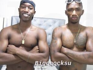 Bigcoocksu