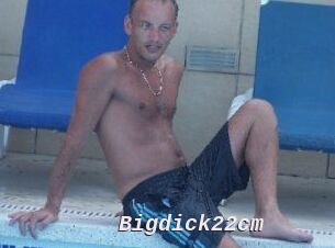 Bigdick22cm