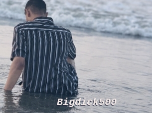 Bigdick500