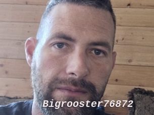 Bigrooster76872