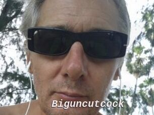 Biguncutcock