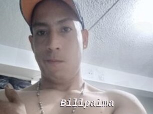 Billpalma