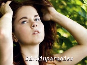 Birdinparadise
