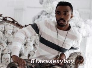 Blakesexyboy