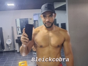 Bleickcobra