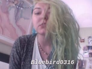 Bluebird0316