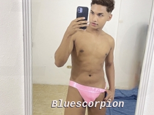 bluescorpion Live Camgirls Sex