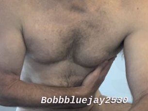 Bobbbluejay2530