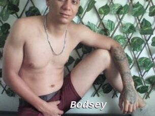 Bodsey
