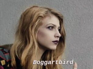 Boggartbird