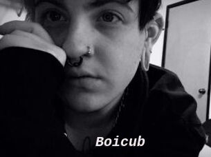 Boicub