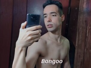Bongoo