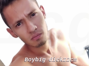 Boybig_dick22cm