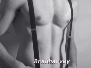 Bradharvey