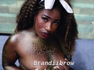 Brandiibrow