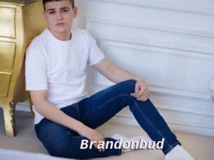 Brandonbud