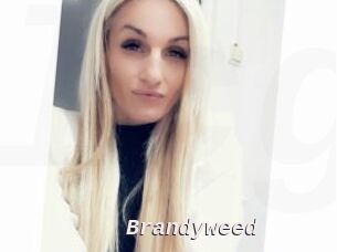 Brandyweed