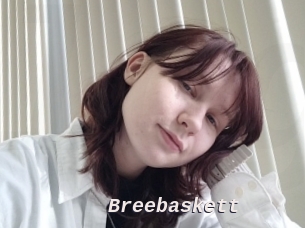Breebaskett
