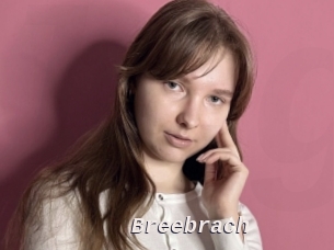 Breebrach