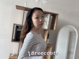 Breecoote