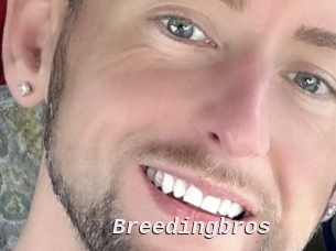 Breedingbros