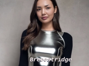 Breeestridge