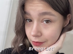 Breegrief