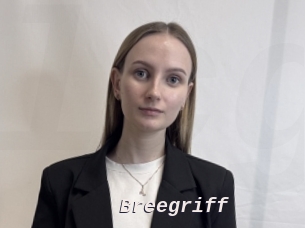 Breegriff
