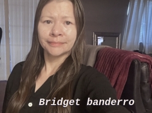 Bridget_banderro