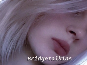 Bridgetalkins