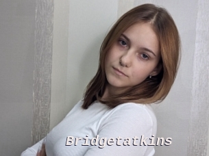 Bridgetatkins