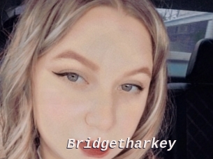 Bridgetharkey