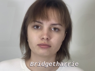 Bridgetharrie