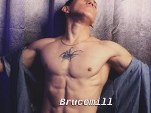 Brucemill