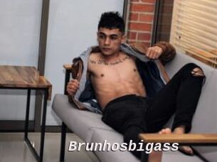 Brunhosbigass