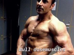 Bull_dosemuscles