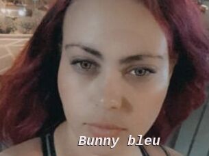 Bunny_bleu