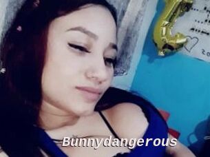 Bunnydangerous