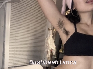 Bushbaeblanca