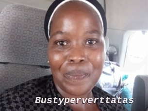 Bustyperverttatas