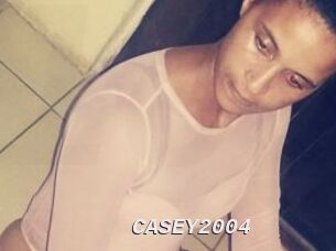 CASEY2004