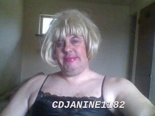 CDJANINE1182