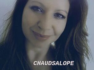 CHAUDSALOPE