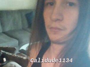Calidude1134