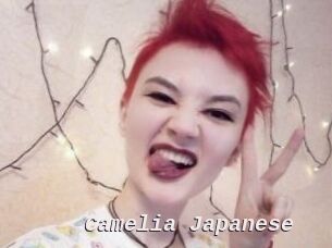 Camelia_Japanese
