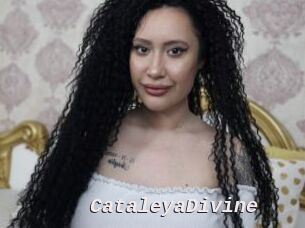 CataleyaDivine