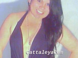 CattaleyaCum