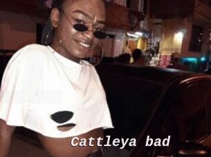Cattleya_bad