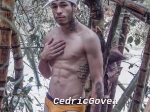 CedricGovea