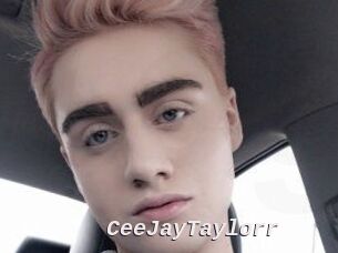 CeeJayTaylorr